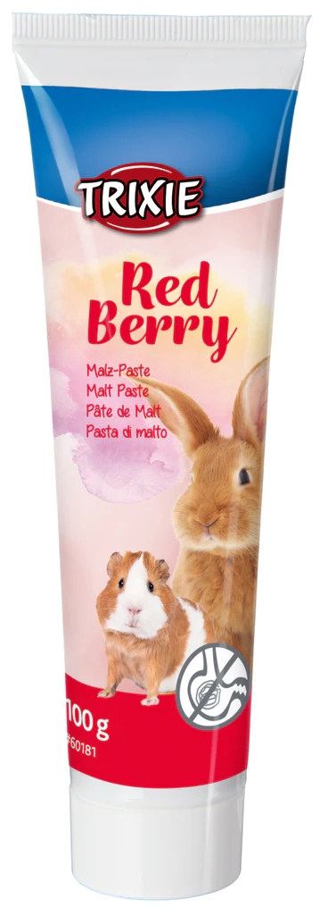 Trixie Mout pasta met rode bessen 100 gr