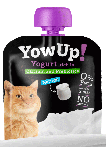 Yowup Naturel yoghurt voor katten 1x85 gr