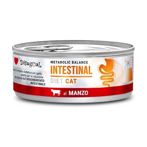 Disugual Intestinal natvoer met rund voor katten 85 gr