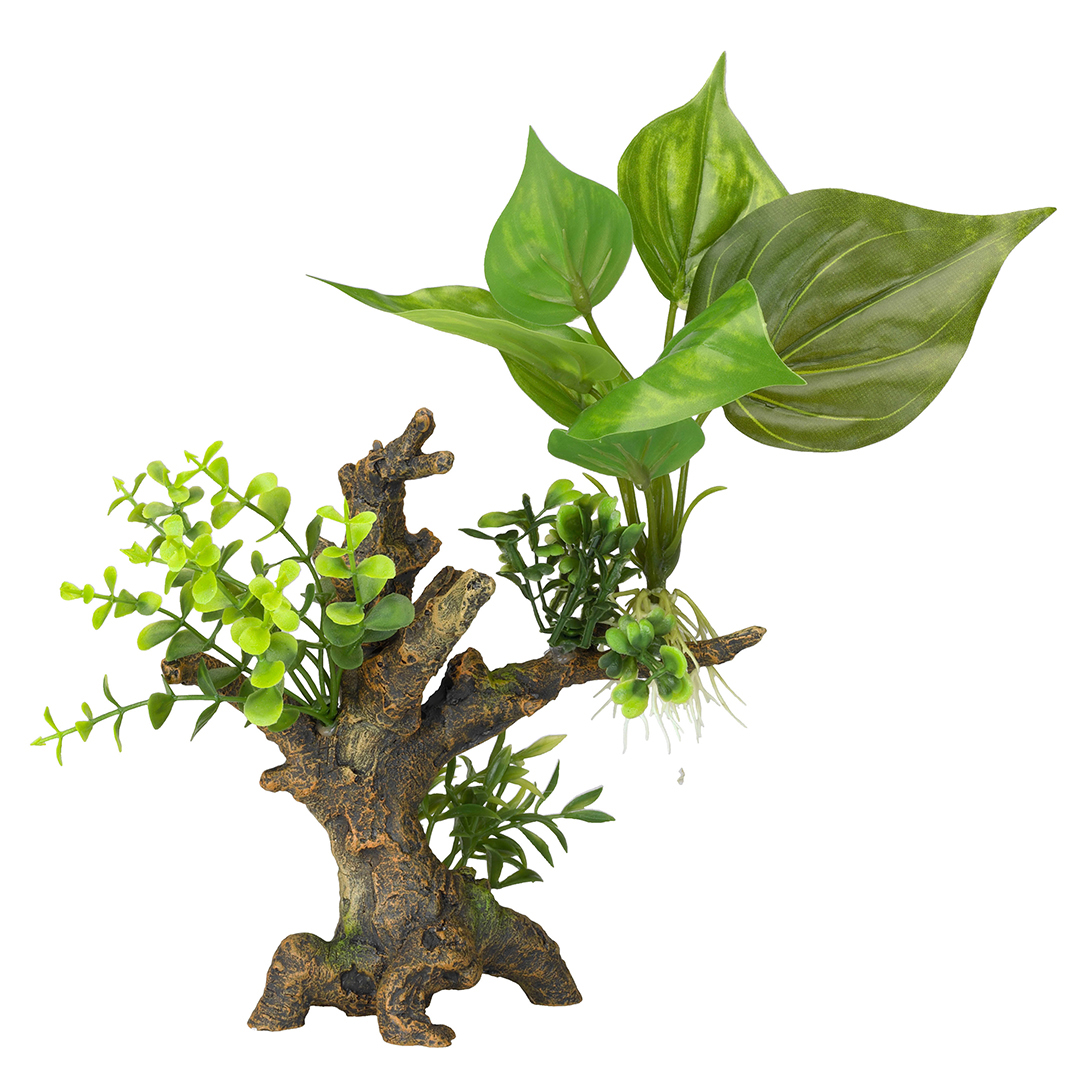 Ebi Décoration Aqua Della Flora Scape Pour Aquariums 14,5X9X16,5 Cm