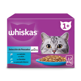 Whiskas Natvoer Visselectie in gelei voor katten 12x85 gr