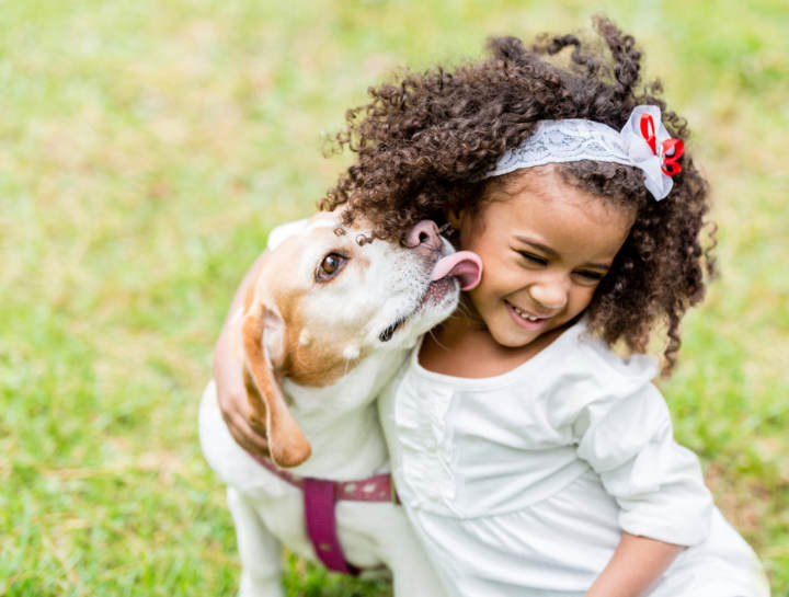 razas de perros para niños