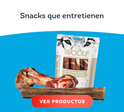 /perros/c_snacks