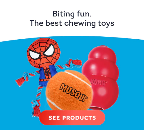 /dogs/c_toys-and-sport