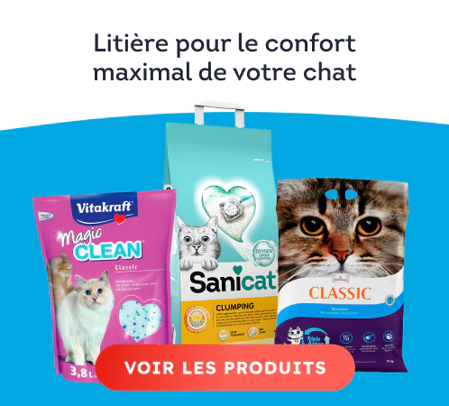 /chats/s_sable-a-litiere