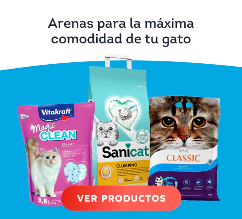 /gatos/s_arenas