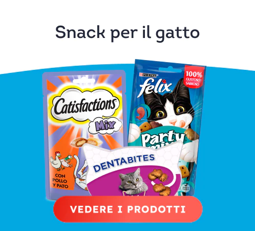 /gatti/c_snacks