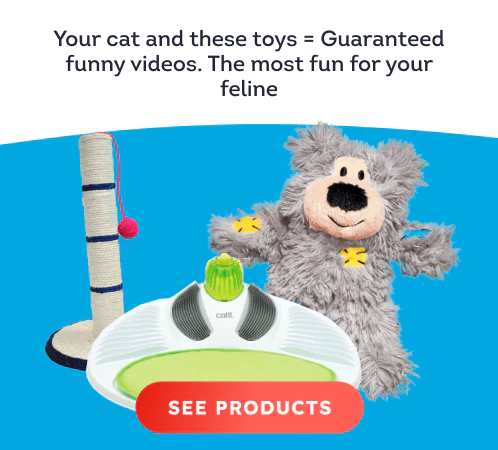 /cats/c_toys