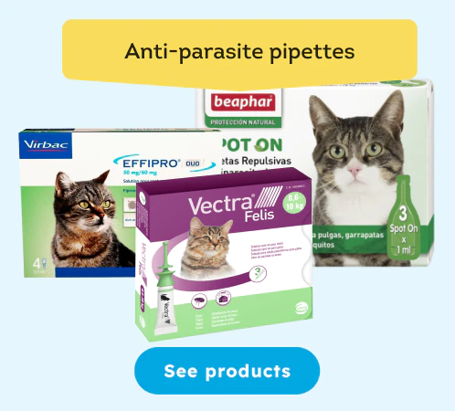 /cats/s_pipette
