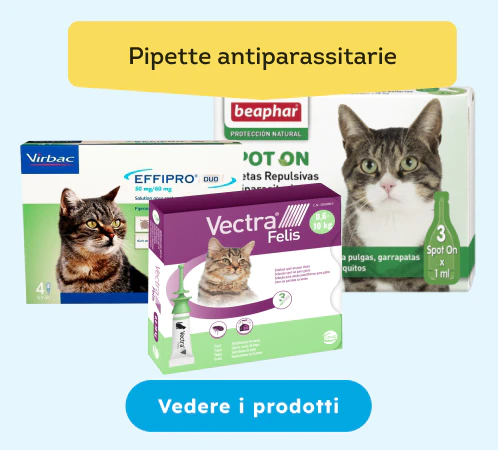 /gatti/s_pipette