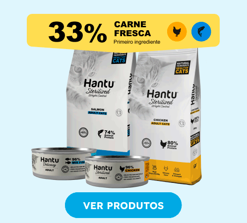 /gatos/hantu