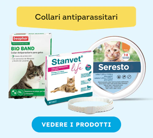/gatti/s_collari