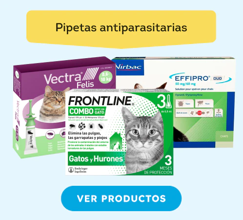 /gatos/s_antiparasitarios-pipetas