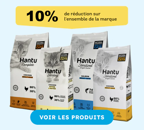 /c/digitaldays-hantucat