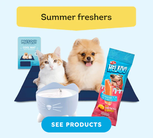 /c/summer_special