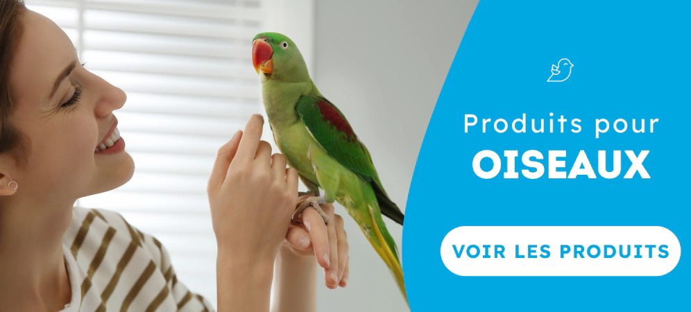 /oiseaux