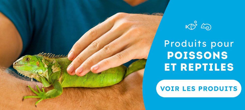 /poissons