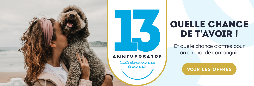/aniversario