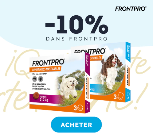 /c/aniversario-frontpro