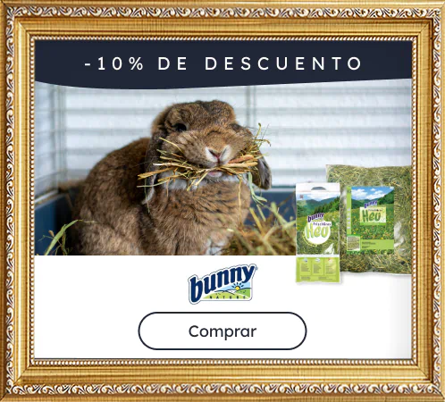 /c/digitaldays-bunny