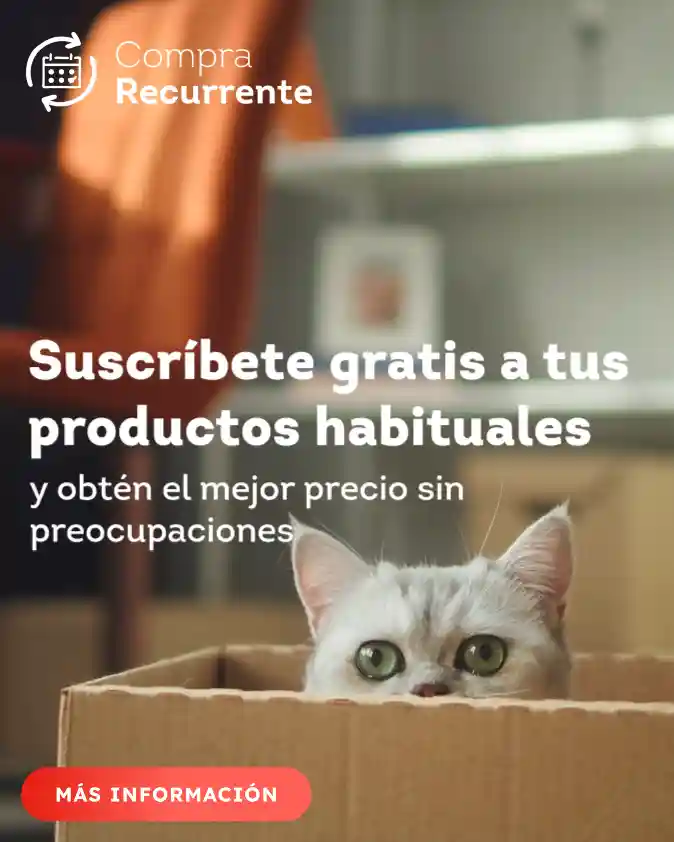 Pet Mate Puerta Blanca para Perros Medianos - Miscota Chile