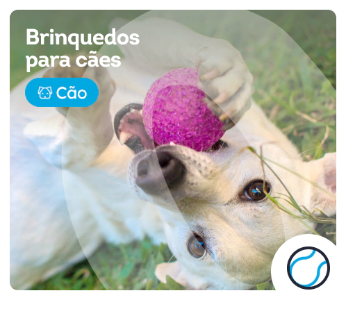/caes/c_brinquedos-esporte