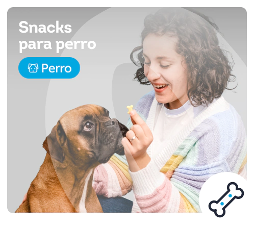 /perros/c_snacks