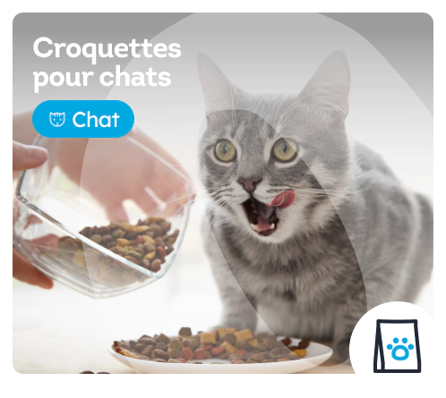/chats/s_croquettes-pour-chats