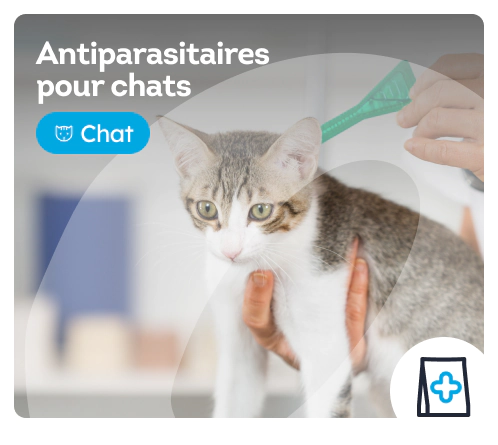 /chats/c_antiparasites