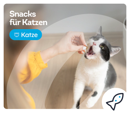 /katzen/c_snacks