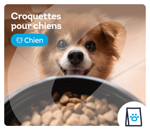 /chiens/s_croquettes