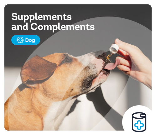 /dogs/c_supplements