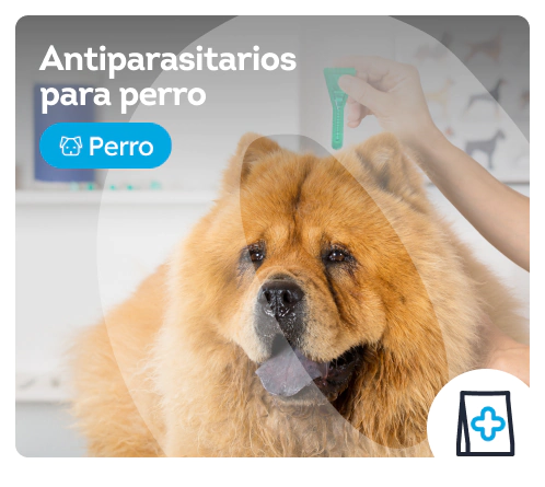 /perros/c_antiparasitarios