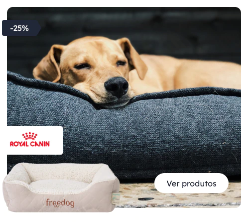 /c/navidad-descanso