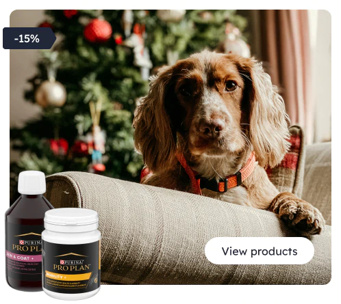 /c/navidad-proplancare