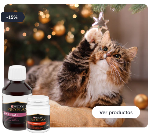 /c/navidad-proplancare