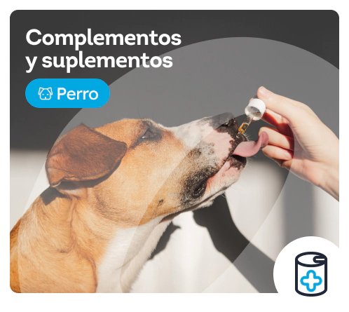 Sanitarios y recoge excrementos para perros - Miscota España