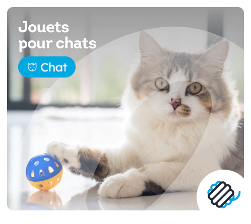 /chats/c_jouets