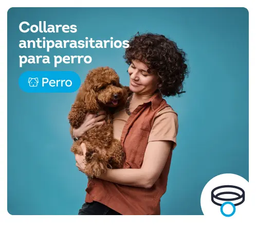 /perros/s_antiparasitarios-collares