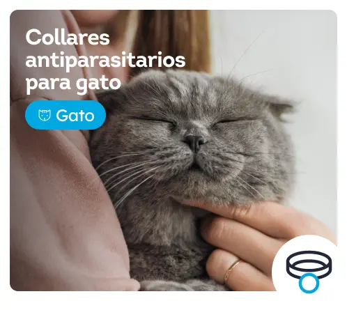 /gatos/s_antiparasitarios-collares