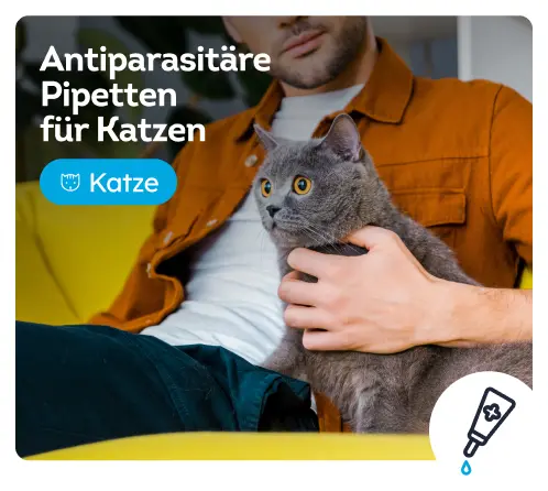 /katzen/c_antiparasitaer