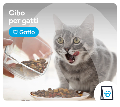 /gatti/c_alimenti-per-gatti
