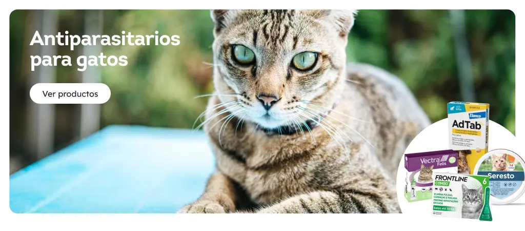 /gatos/c_antiparasitarios