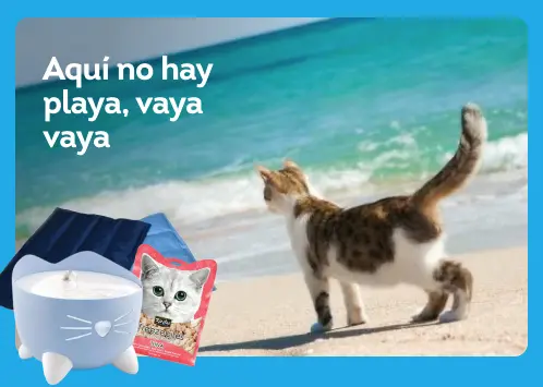 /c/hydrate-cat