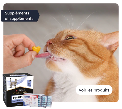 /chats/c_supplements