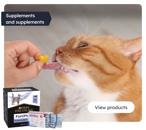 /cats/c_supplements