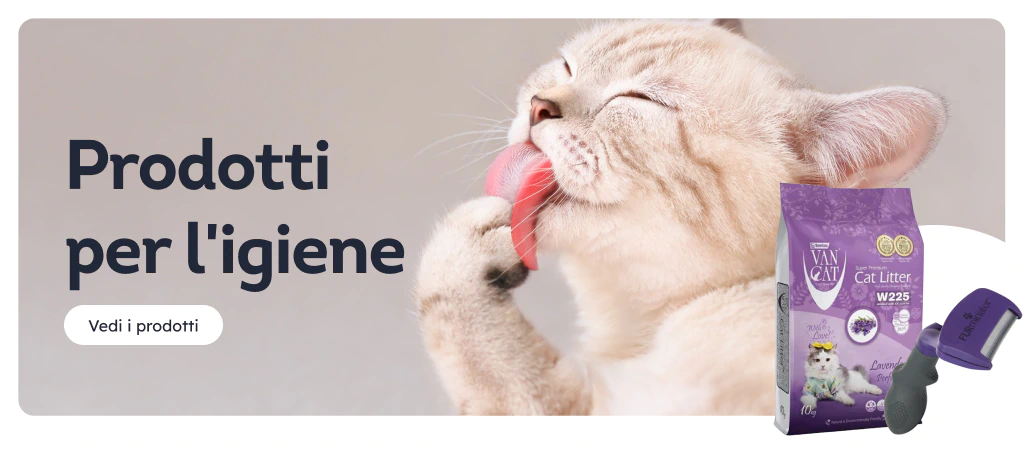 /gatti/c_toilettatura-ed-igiene