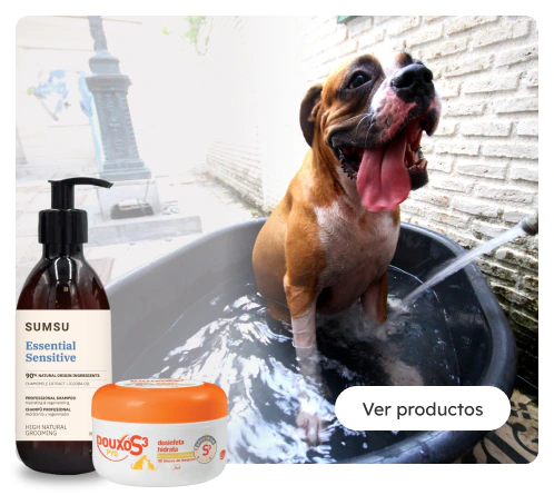 /perros/c_peluqueria-higiene