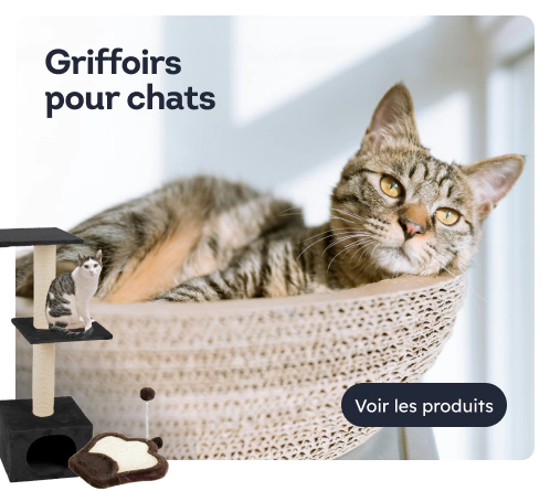 /chats/s_grattoir