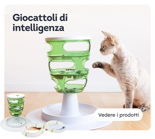 /gatti/s_di-intelligenza-interattivi